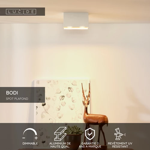 Lucide BODI - Spot plafond - 2xGU10 - Blanc - USP